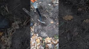 Акинак ! Извлечение.