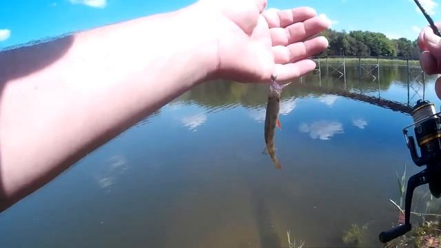 За день до соревнований по береговому спиннингу.