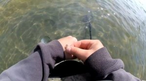 Я ЕГО НАШЕЛ! ПОИСК ЗОЛОТА НА ПЛЯЖЕ. Пляжный коп под водой. Garrett at gold