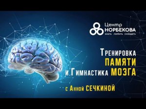 Открытый вебинар с Анной Сечкиной «Тренировка памяти и гимнастика мозга» 25 июля в 18:00 (мск)