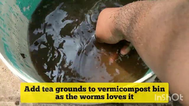 Best organic...tea waste fertilizer||Best fertilizer for rose plants..!Best food for earthworms #10 смотреть онлайн