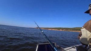 Рыбалка на Каме. Лето 2023. Ловим судака и жереха!