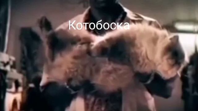 Урок истории.