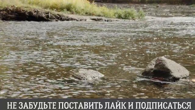 Показательная офисная история...Интересные истории из жизни. Аудиорассказ