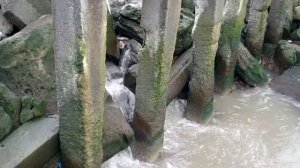 Сброс канализации в Каспийское море в городе Каспийске РД.