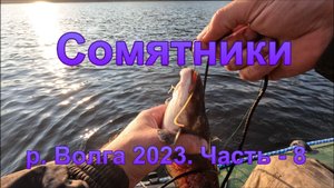 Сомятники: р. Волга 2023. Часть - 8.