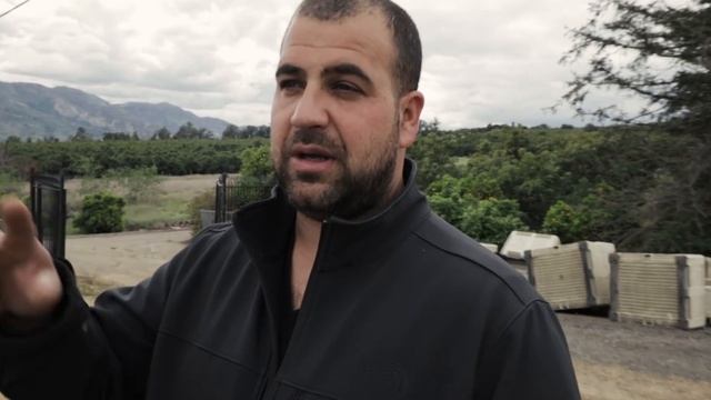 АВОКАДНАЯ?ФЕРМА | В АМЕРИКЕ смотреть онлайн