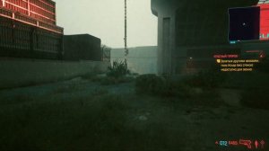 Cyberpunk 2077: Сет корпората - Туфли (Легендарная одежда)