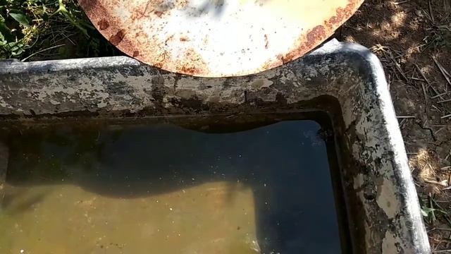 Показываю книги📚/убрала бассейн🤽/лопнуло колесо🚲 смотреть онлайн