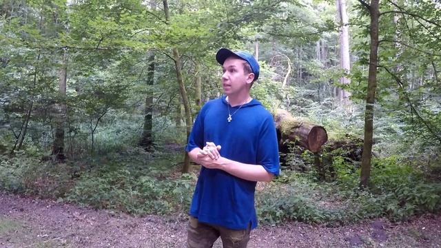 Влог из Германии: Это невероятно, это был просто сон ?♂️ #horses #knight #nature #castle смотреть онлайн