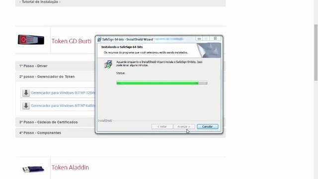 Como instalar e testar seu Token GD Burti смотреть онлайн