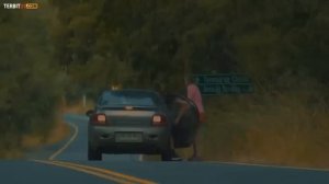 FILM ZOMBIE SUB INDO 2023