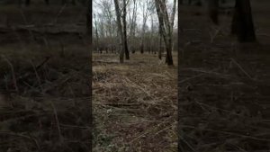 Пос. Амурсталь г. Комсомольска-на-Амуре