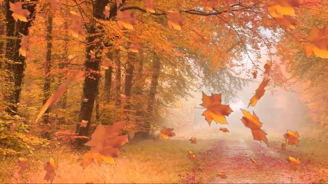 В объятьях серого тумана... смотреть онлайн