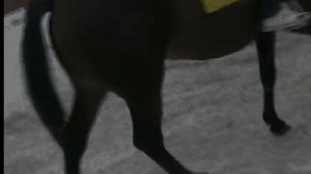 Буржуй