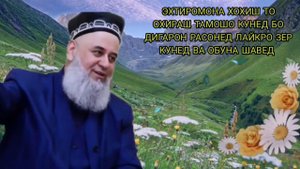 ХОЧИ МИРЗО  САВОЛУ ЧАВОБ