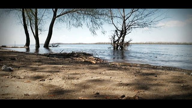 На берегу Волги смотреть онлайн