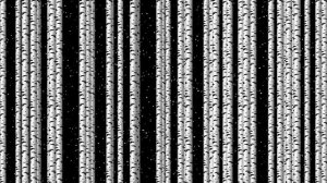 Русские берёзки. Березовая роща. Зацикленная анимация в 4K.