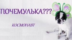 ПОЧЕМУЛЬКА. ПРОФЕССИИ. КОСМОНАВТ. СТИХИ ДЛЯ МАЛЫШЕЙ. ПОТЕШКИ. Короткие стишки для самых маленьких.