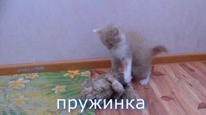 Ягода малинка (пародия) КОТОПРЫГ Песня Клип MusiCAT 彡☆ (майнкрафт анимация)