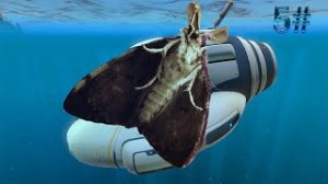 Subnautica - ''МОТЫЛЁК" - 5#