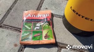 Чем обработать калину обыкновенную от вредителей?