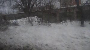 Москва, автобус 774, участок ул. Малыгина 1 - пл. Лось