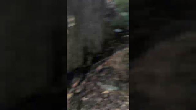 Добро пожаловать в молодогвардейск #2 смотреть онлайн