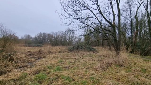 Грибы в январе. Церковь 1895 года смотреть онлайн