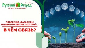 #ЛУННЫЙКАЛЕНДАРЬ,  #ФАЗЫЛУНЫ И #УДОБРЕНИЯ ДЛЯ РАССАДЫ ОВОЩЕЙ И НЕ ТОЛЬКО. КОГДА, КАК И ЧЕМ КОРМИТЬ.