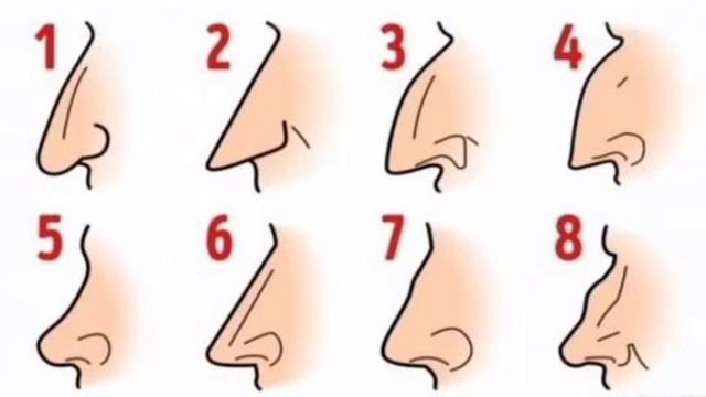 Тест: форма вашего носа покажет ваш характер смотреть онлайн