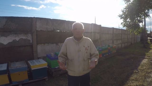 Как объединить две семьи пчел в одну осенью Как переставить улья на одном точке. смотреть онлайн