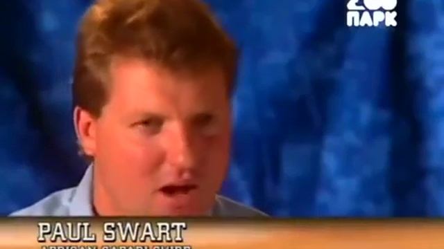 Лучшая защита от хищника, Атаки животных Внезапная агрессия СОБАК, Опасная ситуация смотреть онлайн