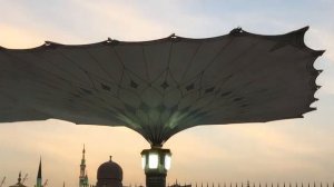 Медина-открытие и закрытие зонтов ❤️