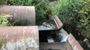 Как устроены гидротехнические сооружения дамбы?