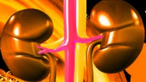 4 СПОСОБА ОЧИЩЕНИЯ ПОЧЕК ОТ КАМНЕЙ И ПЕСКА НАТУРАЛЬНЫМИ СРЕДСТВАМИ!!!!!!!!