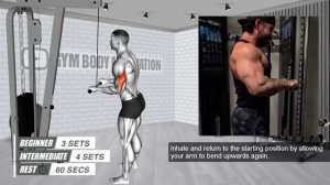 World's Best Biceps and Triceps Workout For Bigger Arms