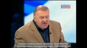 Жириновский про Единую Россию