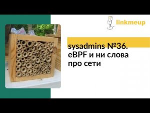 sysadmins №36. eBPF и ни слова про сети