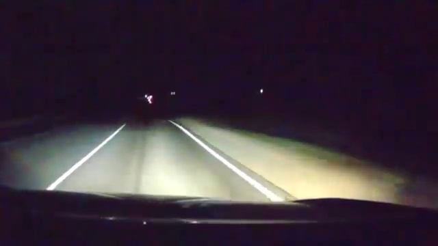 Кабан выскочил на дорогу смотреть онлайн