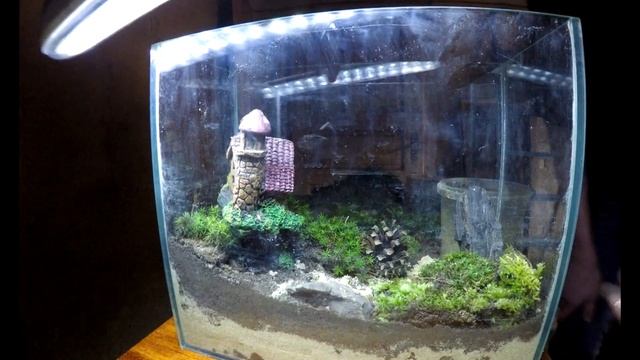 КАК СДЕЛАТЬ ВЕЧНЫЙ ТЕРРАРИУМ !!!/КАК У СЛИВКИ ШОУ //Як зробити террариум. Terrarium! gopro hero 4