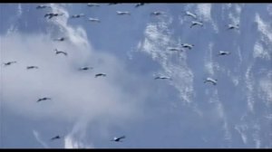 Знакомый стук не потревожит.