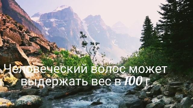 ФАКТЫ ИНТЕРЕСНЫЕ