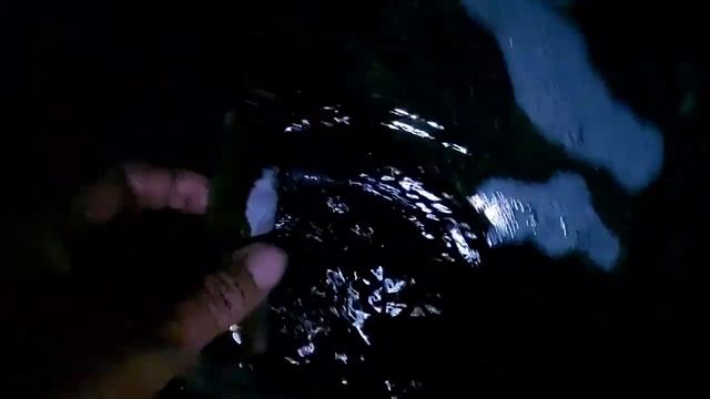 МОРЕ выбросило ТОННЫ ракушки.. силиква- черенок- гуидак