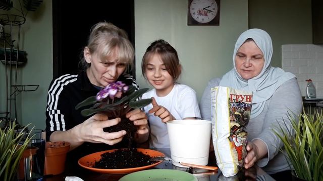 ФИАЛКИ ДЛЯ МАМЫ ??? смотреть онлайн