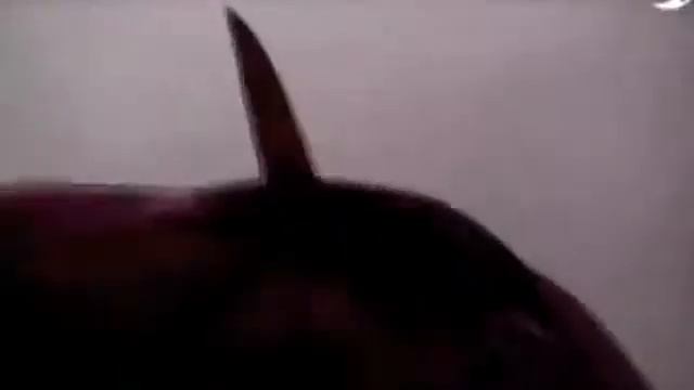 Праздник 1 апреля Посмотри видео смотреть онлайн