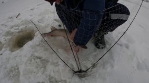 18.11.23 рыбалка на хапуги