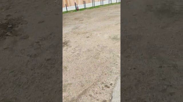 Как обработать землю ,чтоб не росли сорняки. Германия 06 09 2022 смотреть онлайн