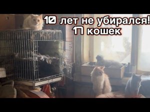 ЕСЛИ ВЫ ВИДЕЛИ ТРЭШ, ТО ЭТО БЫЛ НЕ ОН. ДЕСЯТЬ ЛЕТ НЕ УБИРАЛСЯ В КВАРТИРЕ!