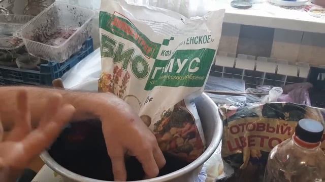 СЕМЕНА ПЕРЦА ПРОРАСТУТ В 10 РАЗ БЫСТРЕЕ КАК ПРАВИЛЬНО посеять перец на рассаду смотреть онлайн